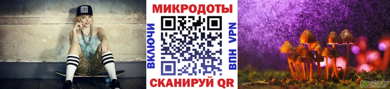 блэк спрут сайт  Цоци-Юрт  Галлюциногенные грибы Psilocybine cubensis 